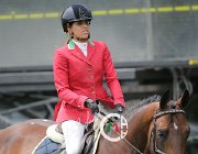 Failla Bacardi Orange CsioArJYR SS7 7834 : Bacardi Orange de Muze, CSIO Giovani Arezzo, Failla Giorgia, foto Stefano Secchi ©